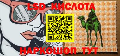 стаф Краснодар