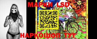 стаф Краснодар