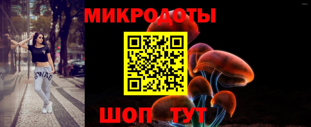 Галлюциногенные грибы прущие грибы Зеленокумск